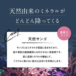 天然サンゴ配合