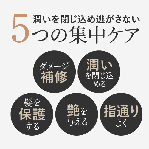 ヘアオイル 洗い流さない トリートメント アルガンオイル モロッカン由来 new シードカクテルオイル 100mL 【公式 正規品】 洗い流さないヘアトリートメント 髪 レディース メンズ スタイリング ダメージヘア ヘアケア オイル ヘアーオイル【メール便】