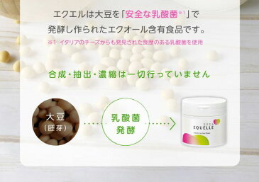 エクエル パウチ 【即日〜3営業日出荷】 大塚製薬 120粒 × 3袋 送料無料 3個セット エクオール 大豆イソフラボン サプリ EQUELLE 【メール便】