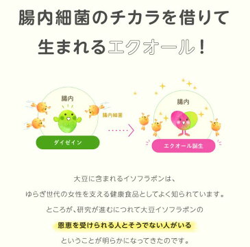 エクエル パウチ 【即〜3営業日出荷】 大塚製薬 120粒 × 3袋 送料無料 3個セット エクオール 大豆イソフラボン サプリ EQUELLE 正規品 ご安心ください【メール便】