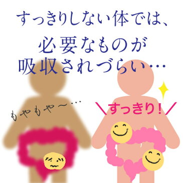 3個セット 大塚製薬 エクエル パウチ 120粒 × 3袋 + 乳酸菌生成エキスL-16(お試し5包)毎日すこやかセット エクオール 大豆イソフラボン サプリ EQUELLE サプリメント 乳酸菌 【メール便】【送料無料】