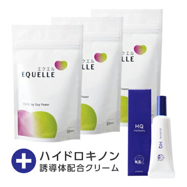 エクエル パウチ 【即日〜3営業日出荷】 大塚製薬 120粒 × 3袋 送料無料 3個セット エクオール 大豆イソフラボン サプリ EQUELLE 【メール便】