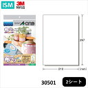 エーワン 手作りワッペン 布プリ 布用 シールタイプ A4 2シート インクジェット 30501 1パック