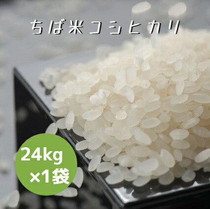 米 お米 白米 24kg ×1袋 ちば米 コシヒカリ 令和5年産 本州四国 送料無料 小分け不可 25kg ⇒24kgへ変更