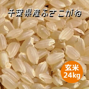 米 お米 玄米 24kg (8kg×3袋) ふさこがね 令和5年産 本州四国 送料無料 小分け可 綺麗仕上 異物除去 石抜き済 25kg ⇒24kgへ変更