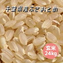 米 お米 玄米 24kg (8kg×3袋) ふさおとめ 令和5年産 本州四国 送料無料 小分け可 綺麗仕上 異物除去 石抜き済 25kg ⇒24kgへ変更