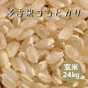 米 お米 玄米 24kg (8kg×3袋) 多古米 コシヒカリ 令和5年産 本州四国 送料無料 小分け可 綺麗仕上 異物除去 石抜き済 25kg ⇒24kgへ変更