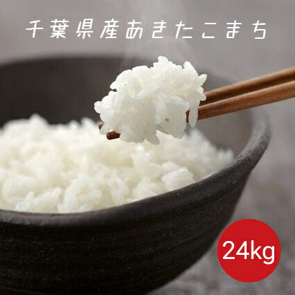 米 お米 白米 24kg (8kg×3袋) あきたこ