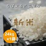 令和4年産低温保存古米米お米白米24kg×1袋ちば米ふさこがね本州四国送料無料小分け不可25kg⇒24kgへ変更