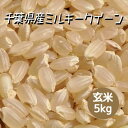 米 お米 玄米 5kg ミルキークイーン 令和5年産 本州四国 送料無料 紙袋 綺麗仕上 異物除去 石抜き済