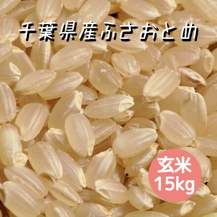 米 お米 玄米 15kg ふさおとめ 令和5年産 本州四国 送料無料 紙袋 綺麗仕上 異物除去 石抜き済