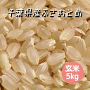 米 お米 玄米 5kg ふさおとめ 令和4年産 本州四国 送料無料 精米無料 紙袋 綺麗仕上 異物除去 石抜き済 フサオトメ