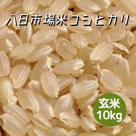 米 お米 玄米 10kg 八日市場米 コシヒカリ 令和5年産