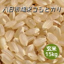 新米 米 令和3年産 八日市場米 コシヒカリ 玄米 15kg 本州四国 送料無料 綺麗仕上 精米無料 紙袋