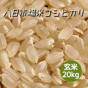 米 お米 玄米 20kg 八日市場米 コシヒカリ 令和5年産 本州四国 送料無料 紙袋 綺麗仕上 異物除去 石抜き済 その1