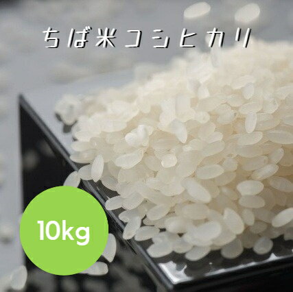 令和6年産 米 お米 ちば米 コシヒカリ 白米 10kg 5kg×2袋 本州四国 送料無...