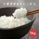 新米 米 令和2年産 あきたこまち 白米 5kg 本州四国 送料無料