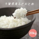 米 お米 白米 20kg 5kg×4袋 ふさおとめ 令和5年産 本州四国 送料無料
