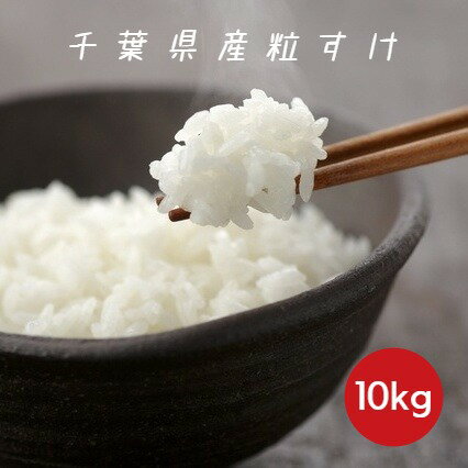米 お米 白米 10kg 5kg×2袋 粒すけ 令和5年産 本州四国 送料無料 新品種