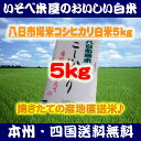 米 令和1年産 八日市場米 コシヒカリ 白米 5kg 送料無料 ※北海道・九州は別途送料400円 ※沖縄は別途送料1,000円