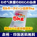 米 令和1年産 ミルキークイーン 白米 5kg 送料無料 ※北海道・九州は別途送料400円 ※沖縄は別途送料1,000円