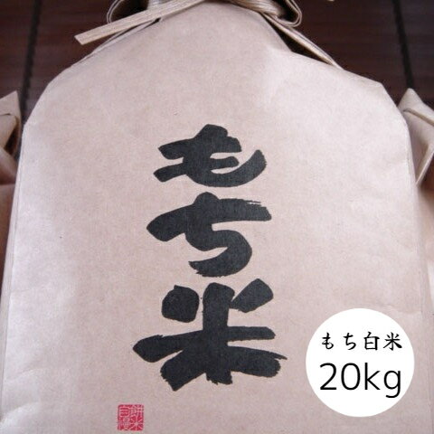 【ふるさと納税】【令和5年度産米】 もち米 ヒメノモチ 3kg (1.5kg×2) 山形県西川町産 FYN9-113