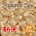 新米 米 お米 玄米 25kg ふさこがね 令和4年産 本州四国