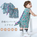 ベビー 半袖 ロンパース 夏 着ぐるみ パジャマ 恐竜 Tシャツ コスプレ 衣装 子供服 男の子 おしゃれ カバーオール 半袖 コスチューム ルームウェア 上下セット 半袖 ハロウィン コスプレ 子供 ハロウィン 仮装 可愛い 薄手 出産祝い 子供 写真撮影 寝相アート 男女兼用