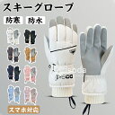スキー グローブ レディース メンズ スキーグローブ 防寒グローブ 防水 防寒 防風 冬用 手袋 スマホ対応 裏起毛 保温 スキー スノーボード スノボ グロー...
