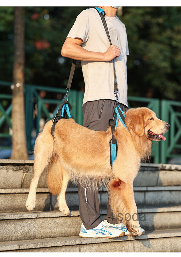 thum3