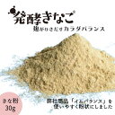 発酵きなこ 粉末 30g きな粉 大豆パウダー 大豆粉 脱脂大豆 ダイズ だいず 善玉菌 健康食品 麹菌 発酵食品 発酵大豆粉 販売 プロバイオティクス バイオジェニックス プレバイオティクス 子供 子ども 大人 男性 女性 プレゼント 発酵美容