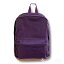 BUMBAG(バムバッグ)PURPLE(紫)BACKPACKバックパック40Lskateboard スケートボード