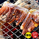 送料無料 国産 いか下足 串 薄塩味 5本入り × 3袋セット 加熱用 BBQ ( バーベキュー ) キャンプ飯 おつまみ おやつ スルメイカの足 ( ゲソ )...
