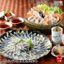 【 スーパーセール タイムセール 】送料無料 とらふぐ刺身 てっさ ( 刺身 ) にふぐちり！ とらふぐ料理セット 3〜4人前 国産トラフグ使用！ひれ酒付き 雑炊 てっちり てっさ お取り寄せグルメ