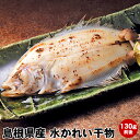 石州灘獲れ！島根県浜田産水かれい 干物（陰干し・一夜干し）1枚130g前後の大サイズです。