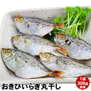 長州山口県萩市産小さな魚ですが旨味たっぷり！おきひいらぎ(平太郎)丸干し(干物/一夜干し) 300g前後骨も柔らかいから一口でパクッ! おつまみ でも。(へいたろう.ニロギ.ギラ.にろぎ)