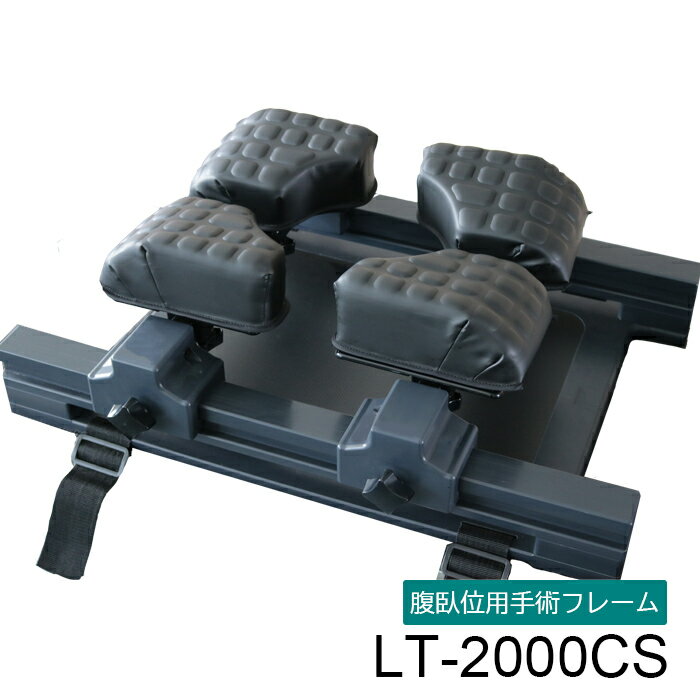 LT-2000CS ٻޥå2STDC