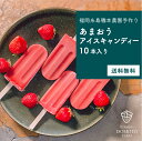 福岡県産いちごの手作りあまおうアイスキャンディー10本入り【送料無料】糸島磯本農園オリジナル あまおういちご農家だからできる贅沢ないちごアイスキャンディー スイーツ 贈り物 プレゼント イチゴ 国産 日本産 九州 果物 果実 フルーツ 送料込み ギフト