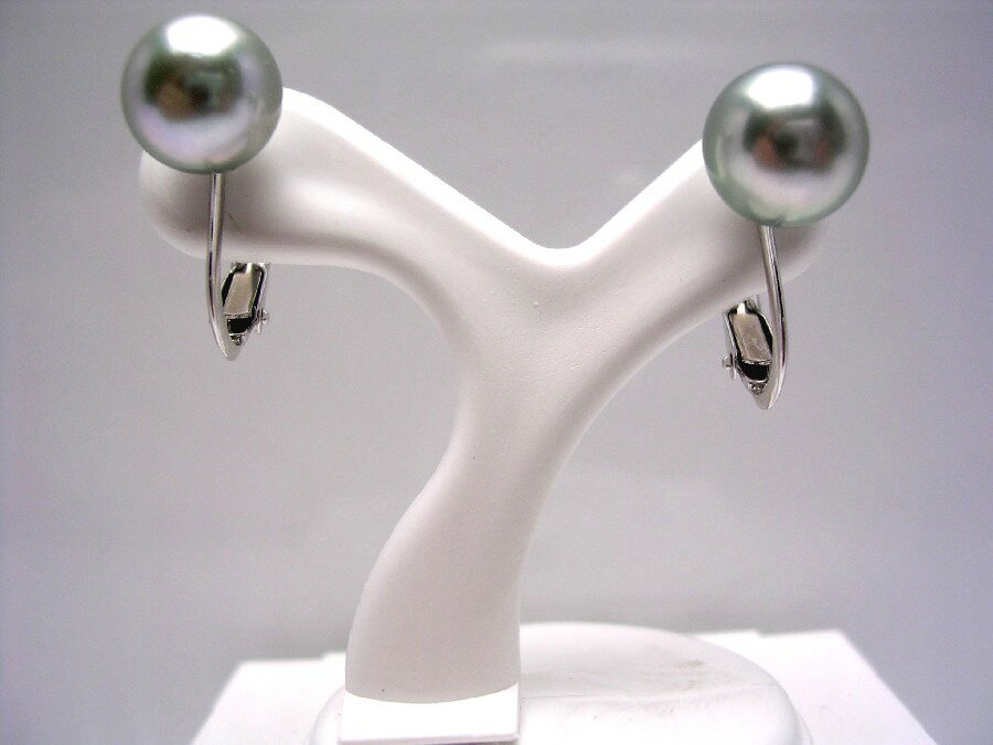 真珠 イヤリング パール アコヤ真珠 8.0-8.5mm シルバーブルー K14 ホワイトゴールド 42440 イソワパール