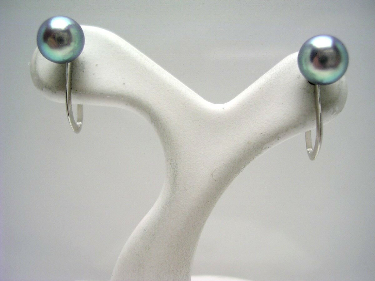 真珠 イヤリング パール アコヤ真珠 5.5-5.75mm シルバーブルー K14 ホワイトゴールド 60305 イソワパ..