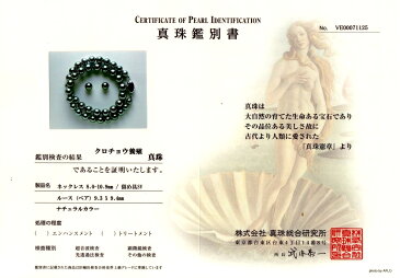 真珠 ネックレス パール ナチュラルカラー 黒蝶真珠 イヤリング or ピアス セット 8.0-10.9mm シルバーグレーグリーン シルバー クラスップ 67116 イソワパール