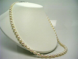 真珠 ネックレス パール 淡水真珠 セミロング 7.0-7.5mm ホワイト マグネット クラスップ 62983 イソワパール