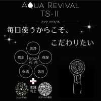 ウルトラファインバブルシャワーヘッドアクアリバイバルTS-2