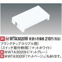 ADVANCE(アドバンス)シリーズ ブランクチップ(トリプル用)(マットホワイト) WTA3020W