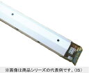 【返品可 保証有】 蛍光灯インバーター安定器(防水PNタイプ) Hf32W×2灯用 FZ32295915SS(3)