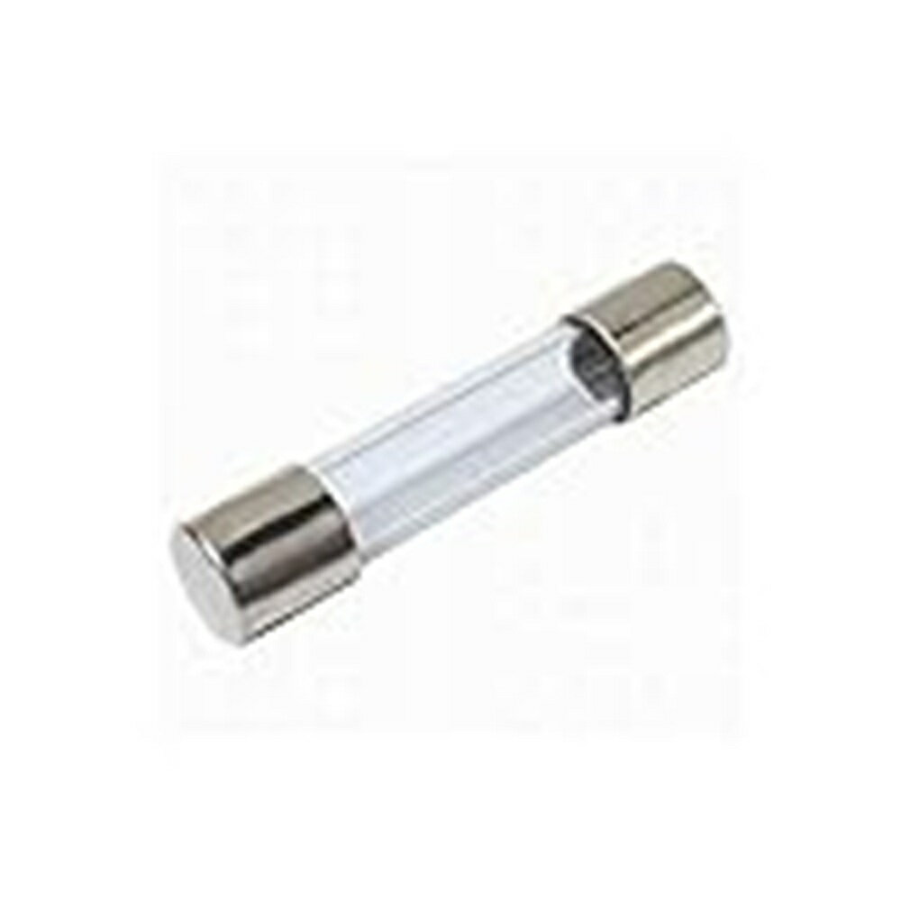 ガラス管ヒューズ 250V1A 100本入 FGBO-A-100