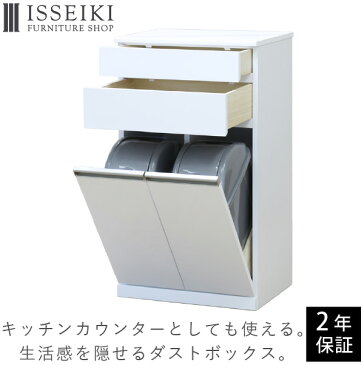 ゴミ箱 キッチン ダストボックス カウンター ゴミ箱2個付 幅55 ふた付き スリム 分別 ごみ箱 ペダル 収納 キッチンカウンター 作業台 おしゃれ モダン ゴミ ペール 蓋 白 鏡面仕上げ 品質保証 ISSEIKI PEARL 101-00370