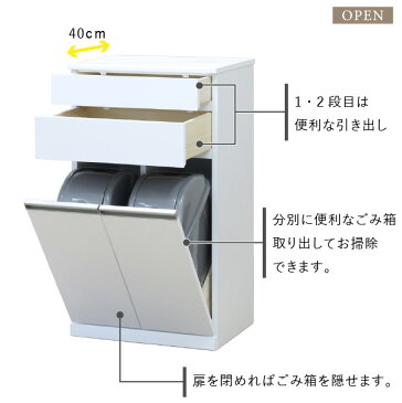 ゴミ箱 キッチン ダストボックス カウンター ゴミ箱2個付 幅55 ふた付き スリム 分別 ごみ箱 ペダル 収納 キッチンカウンター 作業台 おしゃれ モダン ゴミ ペール 蓋 白 鏡面仕上げ 品質保証 ISSEIKI PEARL 101-00370