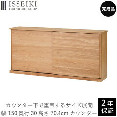 https://thumbnail.image.rakuten.co.jp/@0_mall/isseiki/cabinet/square/101/101-017/101-01704.jpg