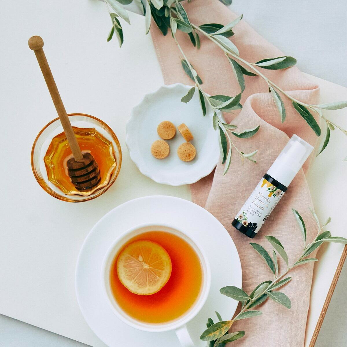 ������ڡ�TREE OF LIFE �ޥ̥��ϥˡ����ץ��ݥꥹ���ץ졼 �������ȥ� 20mL 02-046-4020